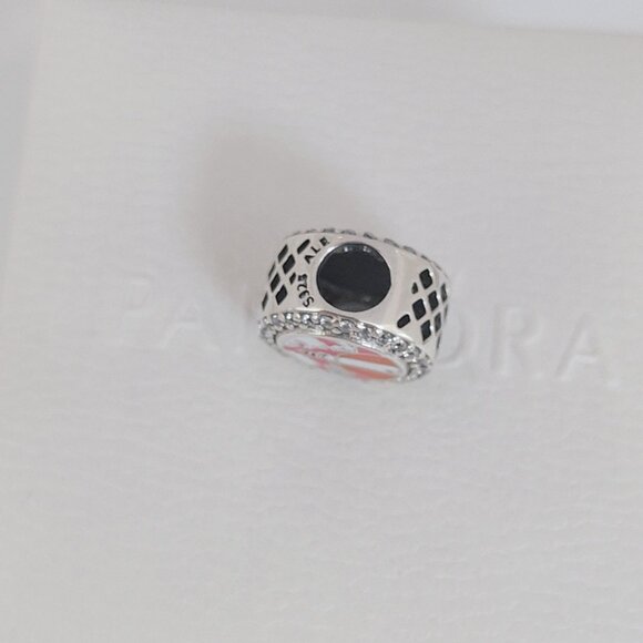 Pandora Door County, WI Bead Charm Bracelet Pendant S925 Silver with box - Picture 5 of 6